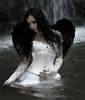 emo ANGEL (22)