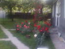 Fotografii-0097