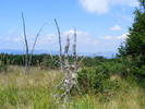 DSCF4148