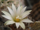 DSC09600