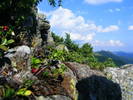 DSCF4479