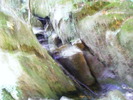 DSCF5175