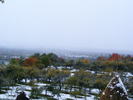 DSCF7331