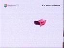 Image1118-0916(nationaltv)[10]