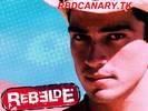miguel_rebelde(2)[1]