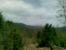 Copy of 22042008(012)