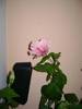 DSC02590