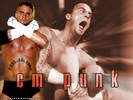 Cm-Punk-wwe-661138_1024_768