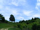 DSCF0530
