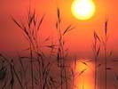 Evening Glow