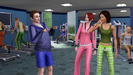 sims3pcscrngymint_610x342