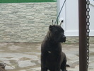 DSCF1804
