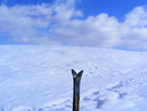 DSCF6980