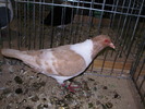 5783 ms 0