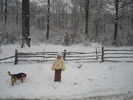 Picture 146