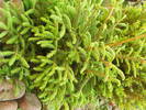 DSCF0153
