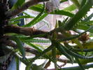 DSCF6584