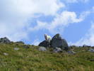 DSCF4183
