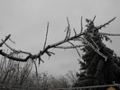 DSCF2210