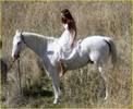 miley-cyrus-white-horse-photo-shoot-05