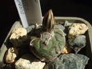 DSCF0473