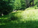 DSCF2538