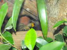 Picture 120