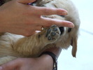 DSCF0249