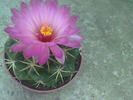 Imag070
