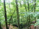 DSCF2556