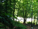 DSCF5317