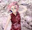 Haruno_Sakura-16[1]