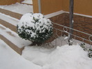 18 decembrie 021