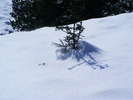 DSCF6952