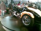 Picture 023