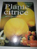 Plante citrice - Peter Klock