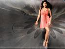 Shamita_Shetty_1256003652_2