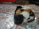 AM BAUT FARA MASURA !!:))