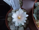 DSCF0540