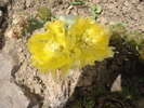DSC03409