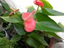 21 sept 2008 026