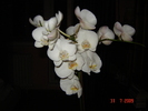 DSC02569