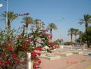 224 Israel - (in drum spre Marea Moarta)