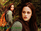 New-Moon-twilight-series-8799445-1024-768