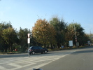 Picture 050
