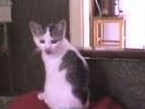 DSC00045