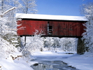 Christmas Wallpapers (603)