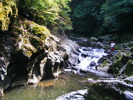 DSCF5187