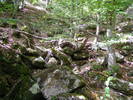 DSCF0362