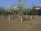 2009_04120055